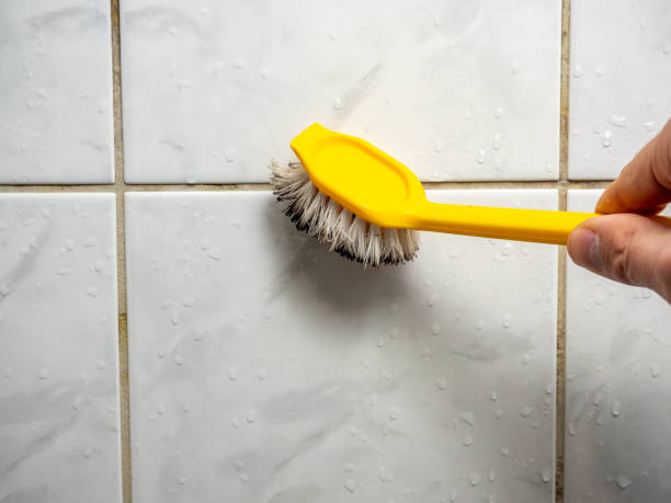 Reliable Rivanna, VA Mold Remediation Solutions