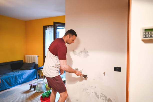 Best Emergency Mold Remediation in Rinna, VA